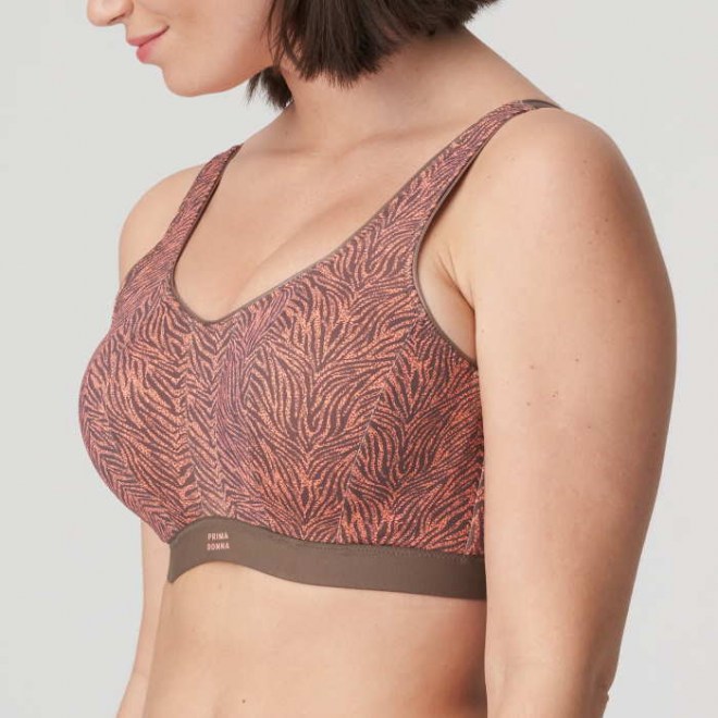 eservices_primadonna_sport-sportswear-padded_bra_sport-dromeas-6000616-brown-2_3543488